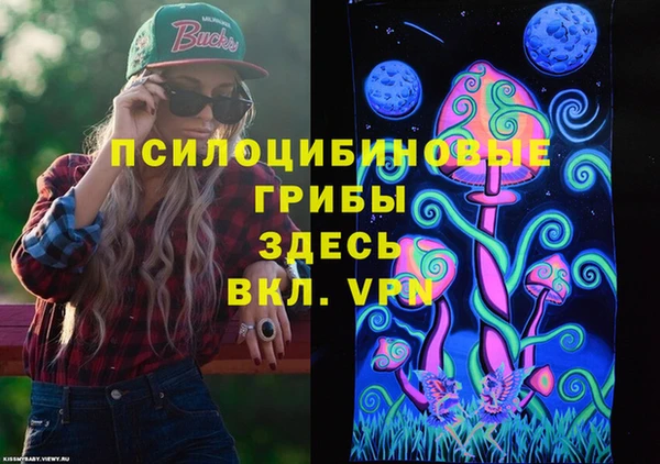 Альфа ПВП Армянск
