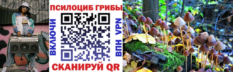 наркота  Себеж  Псилоцибиновые грибы Psilocybe 