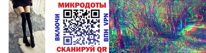 Псилоцибиновые грибы Cubensis Себеж